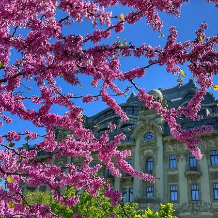 Domik Na Fontane Odessa Exterior foto