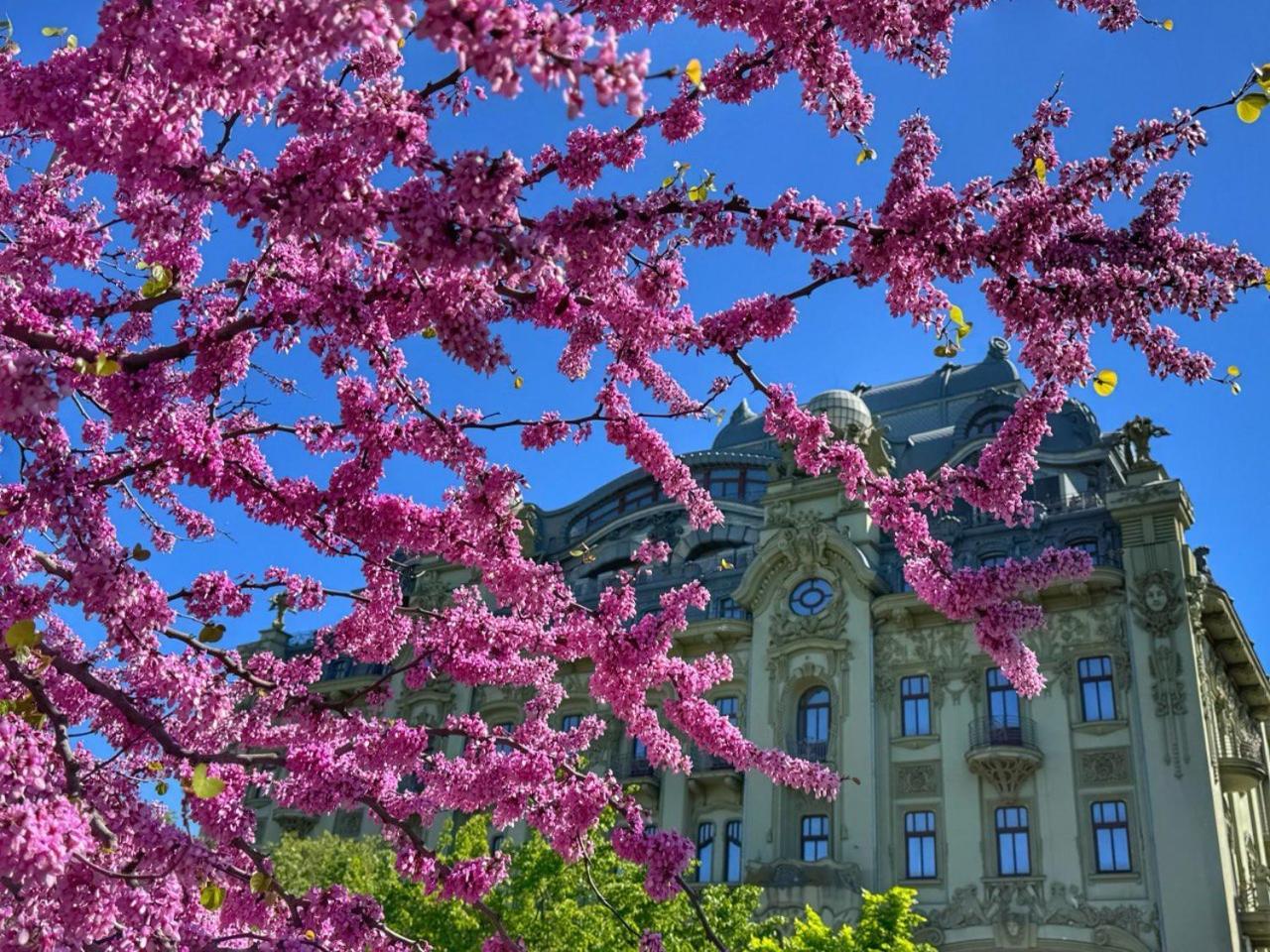 Domik Na Fontane Odessa Exterior foto